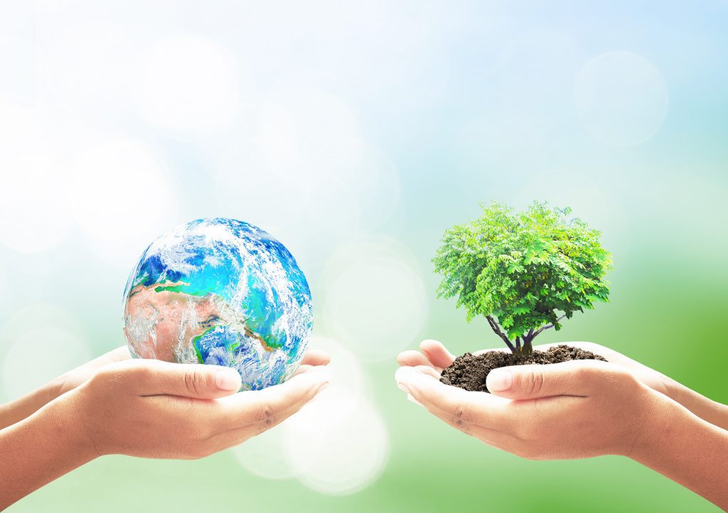 two sets of hands, one holding earth and one holding a tree for earth day